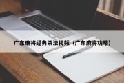 广东麻将经典杀法视频（广东麻将功略）