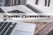 打广东麻将图片（广东打麻将最实用的9个口诀）
