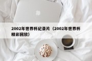 2002年世界杯纪录片（2002年世界杯精彩回放）