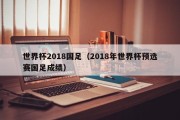 世界杯2018国足（2018年世界杯预选赛国足成绩）