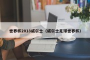 世界杯2018威尔士（威尔士足球世界杯）