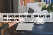 罗平电子游戏培训班有哪些（罗平电子游戏培训班有哪些学校）