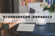 电子游戏用法语怎么说呢（游戏用法语怎么写）