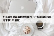 广东麻将潮汕麻将牌型图片（广东潮汕麻将官方下载151旧版）