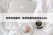 世界杯和裁判（世界杯裁判进球怎么办）